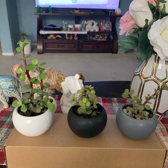 Ceramic flower pots - Picture 2 of 5